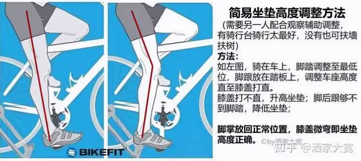 骑车视线该看多远？15-20米防摔秘诀